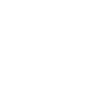 v-icon